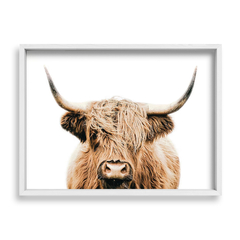 Scotish Cow - tienda online