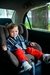 Kit 2 Cortinas Retráteis Luxo Para Carro Clingo - comprar online