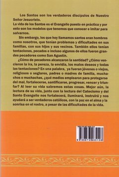 El Santo de Cada Día - Tomo 6 - Junio - comprar online