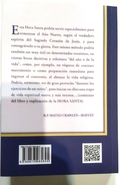 HORA SANTA R.P. MATEO CRAWLEY - BOEVEY - comprar online