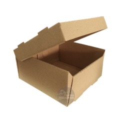 Caja carton corrugado 18 x 19 x 9,5 cm - comprar online