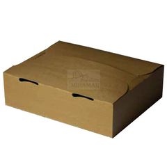 Caja delivery Nro 2: 25x20,5x7,5 cm en internet
