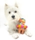 Brinquedo pelúcia para pet | Luxus Dog - Luxu's Dog - A Loja Pet do seu Melhor Amigo