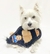Brinquedo pelúcia para pet | Luxus Dog - loja online