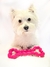 Mordedor Osso de Borracha para pet | Luxus Dog - comprar online