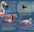 Aves del Mar de Ansenuza - comprar online