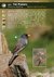 aves de las sierras centrales de argentina en internet