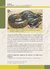 Imagen de Manual sobre Serpientes