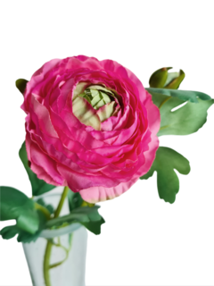 Vara ranuculus rosa oscuro - comprar online