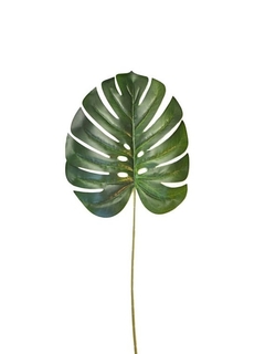 Hoja Monstera mediana x 4