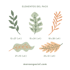 Pack de hojas Bali - comprar online