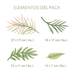 Pack de hojas Iguazú - comprar online