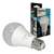 CANDELA LAMPARA LED 9W FRIA X10 - comprar online