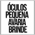 Óculos Pequena Avaria - BRINDE