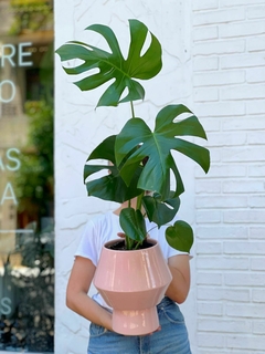 DÚO MACETA MEXICO + MONSTERA MEDIANA