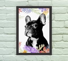 Quadro Decorativo Bulldog Francês