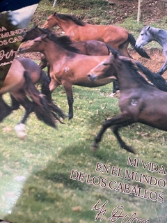 Mi vida en el mundo de los Caballos Tomos I y II - Fabio Ochoa Restrepo - Primera Edición (firmado con dedicatoria el tomo 1) - Edición Mayo 1988 - comprar online