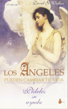 Los Ángeles pueden cambiar tu vida - David G Walker ISBN 9788478081653