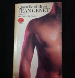 Querelle of brest - Jean Genet - price - Panther Books -