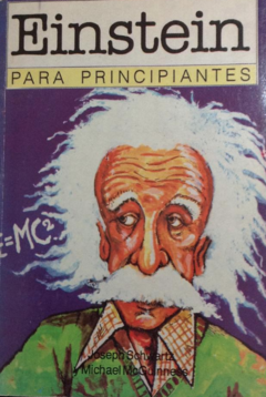 Einstein para principiantes - Joseph Schwartz -Michael McGunness - Alfaomega - ISBN 9789879065051