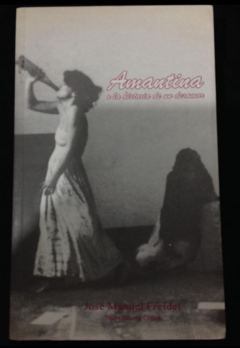 Amantina o la historia de un desamor - Jose Manuel Freidel - Precio libro Edición Crítica - ISBN 9589636500