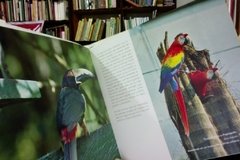 Las aves del jardín - Luis Eduardo Mejía - Luis Germán Olarte en internet