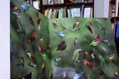 Las aves del jardín - Luis Eduardo Mejía - Luis Germán Olarte - comprar online