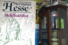 Siddhartha - Hermann Hesse - Precio libro - Editorial Brugera Isbn 8402076602