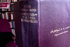 Antología de la poesía hispanoamericana - Julio Caillet - Bois