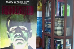 Frankenstein  -  Mary W. Shelley  - Isbn  8482809008