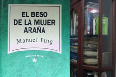 El Beso De La Mujer Araña   - Manuel Puig  -  Isbn  8447301907
