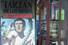 Tarzan De Los Monos    -    E. Rice Burroughs   -  Isbn  8482807005