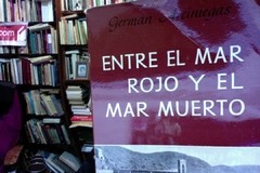 Entre el mar Rojo y el mar Muerto - Germán Arciniegas