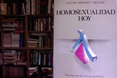 HOMOSEXUALIDAD HOY - ANTONI MIRABET I MULLOL ISBN 842541430X
