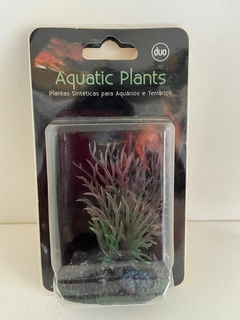 Planta Plastica Soma cod;040324