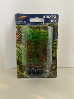 Planta Plástica Maxxi AP-364