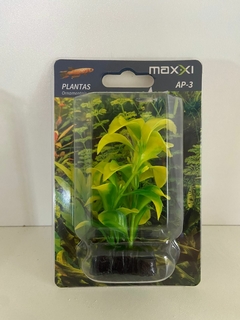 Planta Plástica Maxxi AP-367