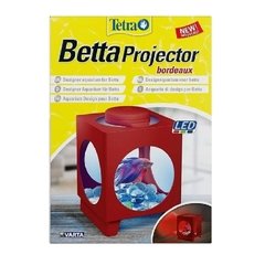 Beteira Vinho com Iluminação Led Tetra - comprar online