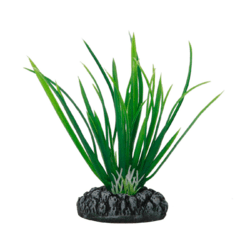 PLANTA PLASTICA SOMA SAGITARIA CRESPA 10CM