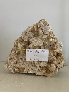 Rocha Reef Rock 14