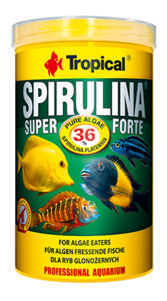 Ração Tropical Super Spirulina Forte Flakes 50g - comprar online