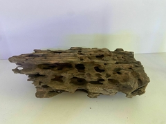 TRONCO WOOD 01