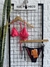 BIKINI MAYA SWIM NUEVA C/ETIQ T.S FUC (33278)