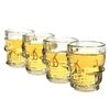 Shots Calavera de Cristal X4