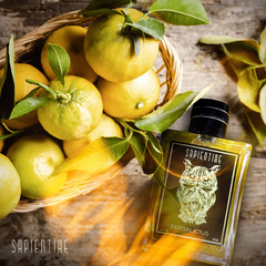 Bergalicius Eau de Parfum