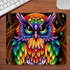 MOUSEPAD - Coruja colorida