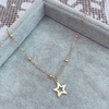 Collar Roxy Star Gold - Acero Dorado AA.4