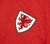 País de Gales 2020 Home adidas (M) - Atrox Casual Club