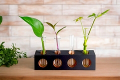 Enfeites de mesa com 4 tubos de vidro, plantas e hidroponico - comprar online