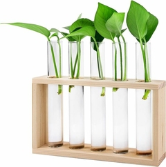 Suporte para plantas, flores e hidropônicos com tubos vidro - comprar online